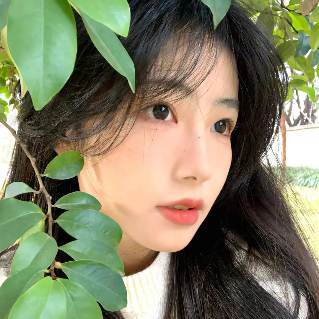 动物园之夜